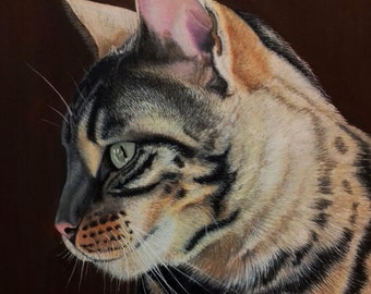 Custom Bespoke Hand Painted Cat Pet Portrait In Acrylic Paint On Canvas Board (Unframed)