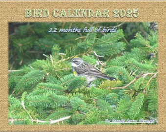 Bird Calendar 2025 - 12 months full of birds