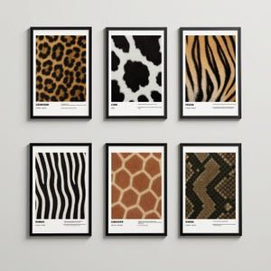 Op de afbeelding: Zes ingelijste posters met dierenprints. De prints tonen close-ups van luipaard-, koe-, tijger-, zebra-, giraf- en addermotieven. Elke print zit in een zwart frame met witte tekst onderaan.