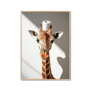 May include: A giraffe with a white toilet paper roll on its head. The giraffe is looking directly at the camera. The background is a white wall with shadows.