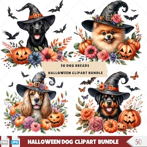 Bundle de cliparts chien Halloween, 50 chiens d'Halloween automne mignons en chapeau de sorcière PNG, lot de cliparts pains de chien les plus populaires pour travaux manuels d'Halloween.