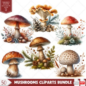 Lot de 50 champignons aquarelles au format PNG, motif aquarelle de champignons vénéneux, motifs PNG éclatants pour sublimation, cadeau parfait pour les fans de champignons !