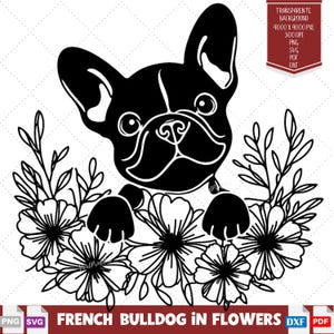 Französische Bulldogge in Blumen SVG, süße französische Bulldogge späht durch Blumen, perfektes Geschenk für Boho Hundemütter, Geburtstagsgeschenk, Cricut Projekte.