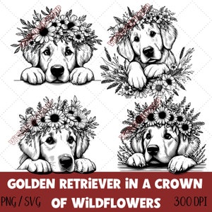 Golden Retriever en girasoles, Golden Retriever Png Clipart, Diseño de sublimación para amantes de los perros, Cachorro en corona de flores PNG y SVG.