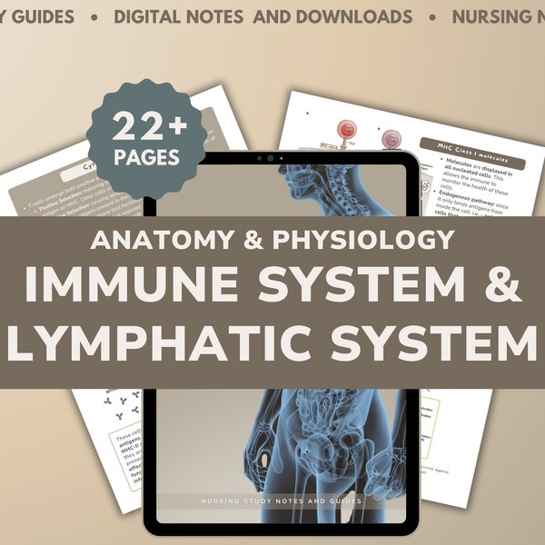 Anatomy and Physiology - Immune System and Lymphatic System | A&P Guides | Nursing Digital Study Notes | PDF Digital Download | Future Nurse