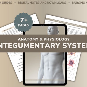 May include: A digital tablet displaying a study guide for the Integumentary System. The guide includes illustrations of the skin and its cells, as well as text explaining the anatomy and physiology of the system. The tablet is on a brown surface with a white and gray background. The text on the tablet reads "Anatomy & Physiology Integumentary System".