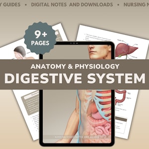 Digestive System Anatomy - 10-Page Nursing Study Guide (PDF Digital Download)