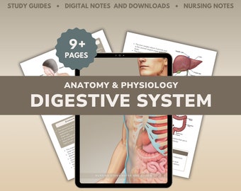 DIGITAL FILE - the Digestive System | Revision Notes | Anatomy ...