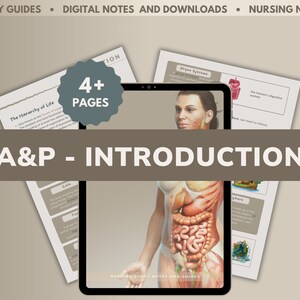 Può includere: Un tablet digitale che mostra una guida di studio di anatomia e fisiologia. La guida include illustrazioni del sistema digerente umano e testo sulla gerarchia della vita. Il titolo della guida è "A&P - INTRODUCTION" e afferma che ha più di 4 pagine.
