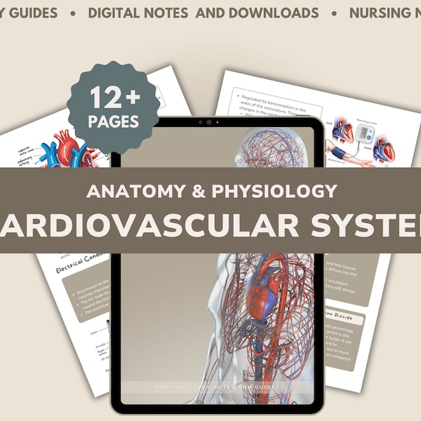 Cardiovascular System | Anatomy and Physiology | A&P Guide | 13 Pages | Nursing Study Notes | Future Nurse Study Guide |RN Digital Pdf Notes