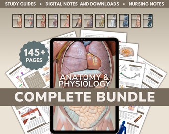 Anatomy and Physiology COMPLETE BUNDLE | Digital Study Guide | 147 Pages | A&P Studies |  Nursing Study Notes | RN Guide | pdf download