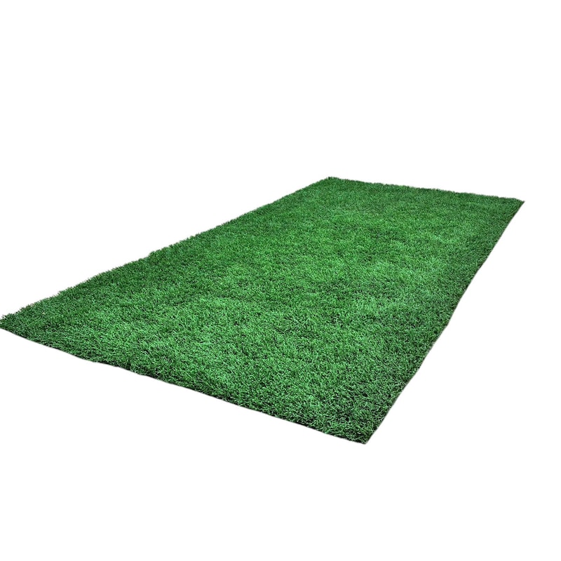Fake Grass Indoor Carpet - Etsy