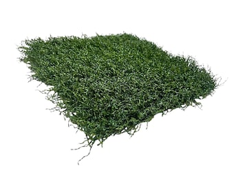 Artificial Grass Square 1x1 ft Sample | Recycled Athletic Field Turf | DIY Crafts Dollhouse Diorama Miniature Model Train