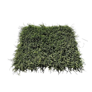 Grama artificial 1 unidade 1 x 1 pé, grama longa ondulada | Gramado em miniatura para casa de bonecas, tapete de grama artesanal, planta artificial, tapete para área externa, minigramado
