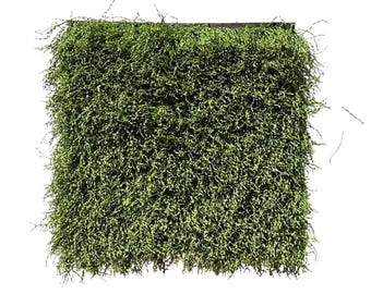 Curly Artificial Grass Turf Square, Dollhouse Miniature Lawn, 1x1ft