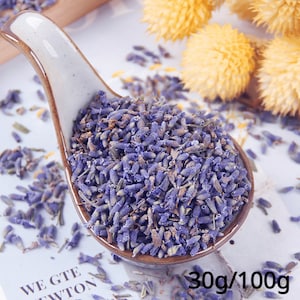 Tè ai fiori di lavanda / Lavanda Boho / Germogli di lavanda