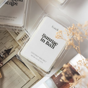 Coconut Mango | Sunrise in Bali | 2.5 oz Coconut Tarts | Wax Melt for Warmer | Gift Ideas