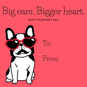 French Bulldog Valentine | Frenchie | Valentine&#39;s Day 2023