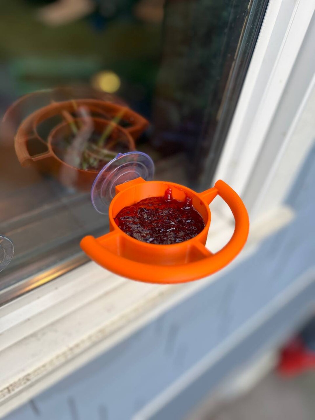 Bird Feeder Window Suction Cup Holder for Seeds Jelly or Avian Food ...