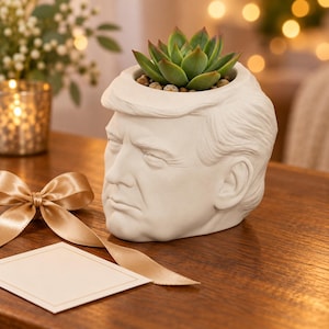 May include: A white ceramic planter shaped like the head of Donald Trump, featuring a detailed facial sculpt and hair texture. The top of the head serves as an opening for a green succulent plant, which is nestled among small brown pebbles.