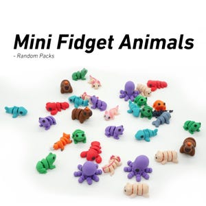 Puede incluir: Una colección de mini juguetes de animales fidget de colores en varias formas, incluyendo ranas, pulpos y osos. Los juguetes son en tonos de verde, morado, rojo y marrón. El texto "Mini Fidget Animals - Random Packs" está en la parte superior.