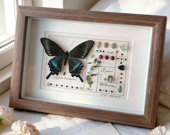 Customizable Emerald Queen Butterfly Frame, Mother’s Day Gift, Real Butterfly Specimen Shadow Box with Crystal Botanical, Present for Her