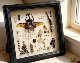 Beetle & Botanical Specimen Frame for Her, Mother’s Day Celebration, Insect Wall Art, Nature Shadow Box, Gift with Love, Custom Available