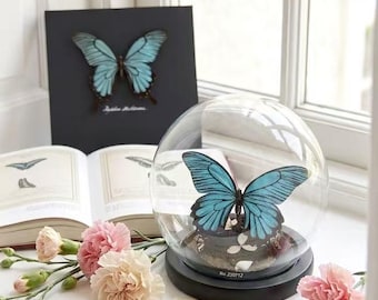 Real Butterfly Glass Dome Decor, Personlized Gift for Mom, Handcrafted Nature Specimen Wall Art, Birthday Present for Her, Happy Mothers Day