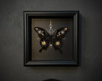 Może przedstawiać: Oprawiony okaz motyla w kwadratowej czarnej ramie typu shadow box. Motyl jest czarny, z misternymi złotymi i srebrnymi wzorami niebieskimi, w tym słońcami, gwiazdami i motywami półksiężyca namalowanymi na skrzydłach i korpusie.