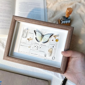 Personalized White Butterfly Specimen - The Perfect Birthday, Valentine&#39;s, or Anniversary Gift for Your Loved One