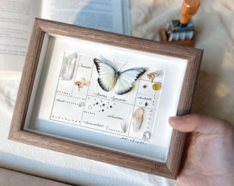 Personalized White Butterfly Specimen - The Perfect Birthday, Valentine&#39;s, or Anniversary Gift for Your Loved One