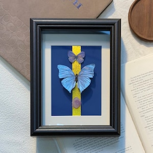 Preserved Butterfly Specimens, Handmade Butterfly Frame with Natural Mineral Powder-Butterfly Frame,Personalized  Butterfly Lover Gift