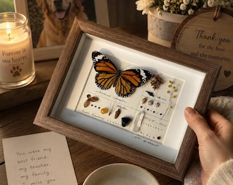 Pet Loss Butterfly Shadow Box, Sympathy Gift for Dog Loss, Cat Memorial Gift, Pet Remembrance Frame, Rainbow Bridge Decor, Loss of Pet Gift