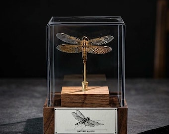 Real Dragonfly Specimen Display, Ultra Clear Glass Case, Gothic Insect Decor, Museum-style Entomology Dark Fantasy Art, Curiosity Cabinet