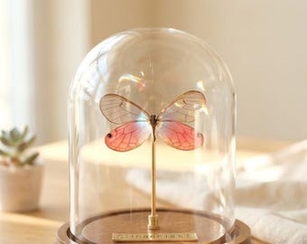 Ejemplar de mariposa real - Ojos rosados, Cúpula de cristal personalizada con forma de mariposa Cithaerias, Regalo personalizado inspirado en la naturaleza para ella y decoración del hogar para coleccionistas