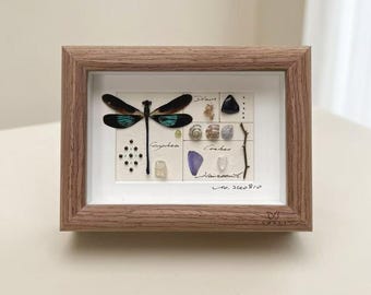 Iriserende libelle in een schaduwdoos, met een echt botanisch obsidiaan-peridot exemplaar, genummerd ontwerp, op maat gegraveerd verzamelobject.
