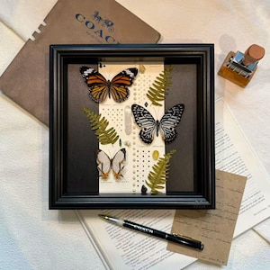 Emperor Butterfly Frame, Butterfly Display, Framed Butterfly Decor, Real Butterfly, Preserved Butterfly Specimens, Butterfly Lover Gift