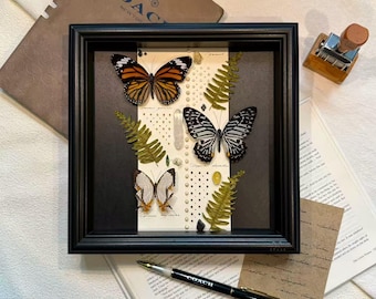 Emperor Butterfly Frame, Butterfly Display, Framed Butterfly Decor, Real Butterfly, Preserved Butterfly Specimens, Butterfly Lover Gift
