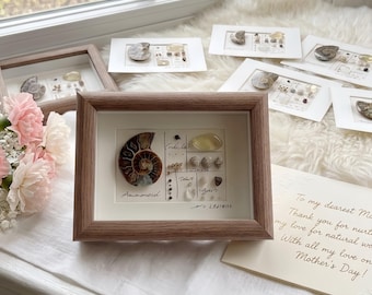 Luxury Fossil Frame, Gift for Mom, Personalized Fossil & Crystal Shadow Box, Handmade Natural Specimen Wall Art, Unique Mother’s Day Present