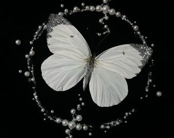 Decoración de mariposa preservada, mariposa en marco de madera, mariposa real, mariposa taxidermia, exhibición de mariposas personalizada