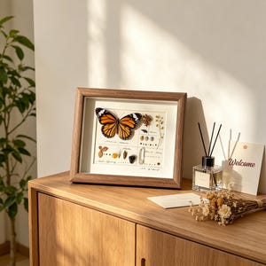 May include: A framed butterfly specimen with orange and black wings, displayed with botanical elements and scientific labels. The wooden frame sits on a wooden cabinet, alongside a welcome card and a fragrance diffuser.