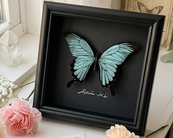 Real Butterfly Specimen Frame Art, Mother’s Day Celebrate, Handmade Butterfly Shadow Box, Natural Wall Decor, Personalized Gift for Her