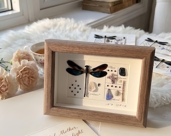 Personalized Dragonfly Specimen Frame for Mom, Real Dragonfly & Crystal Shadow Box, Handmade Nature Insect Decor, Unique Mother’s Day Gift