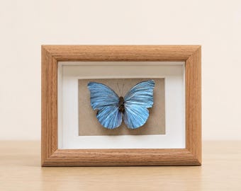 Marco para mariposa Morpho azul, caja expositora de insectos reales, arte personalizado inspirado en la naturaleza azul marino, regalo artesanal numerado