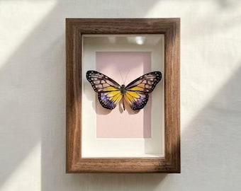 Real Iridescent Butterfly Specimen Frame, Yellow Shadow Box Wall Art, Handmade Nature Decor, Custom Engraved Unique Gift Idea