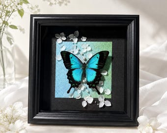 Framed swallowtail Butterfly, Handmade Real Papillon LorquinianusShadow Box, Pearl Petal Wall Art, Nature Decor Gift for Her, Specimen Art
