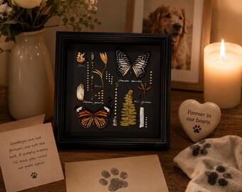 Pet Loss Butterfly Shadow Box, Memorial Gift for Dog or Cat Loss, Sympathy Butterfly Frame, Rainbow Bridge Keepsake, Pet Remembrance Decor