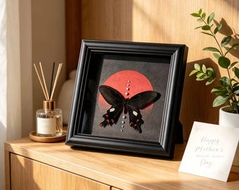 Black Windmill Butterfly Frame Art for Mom, Happy Mother’s Day, Real Butterfly Specimen Shadow Box, Handmade Wall Decor, Personalized Gift