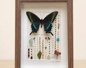 May include: A framed display featuring a large black and iridescent green butterfly specimen centered above rows of small beads, dried botanical elements, and polished stones. The white backing includes handwritten text and the date 210726.