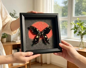 Real Butterfly Shadow Box Frame for Mom, Mother’s Day Gift, Papilio Memnon Butterfly Wall Art, Handmade Nature Decor, Customizable Present